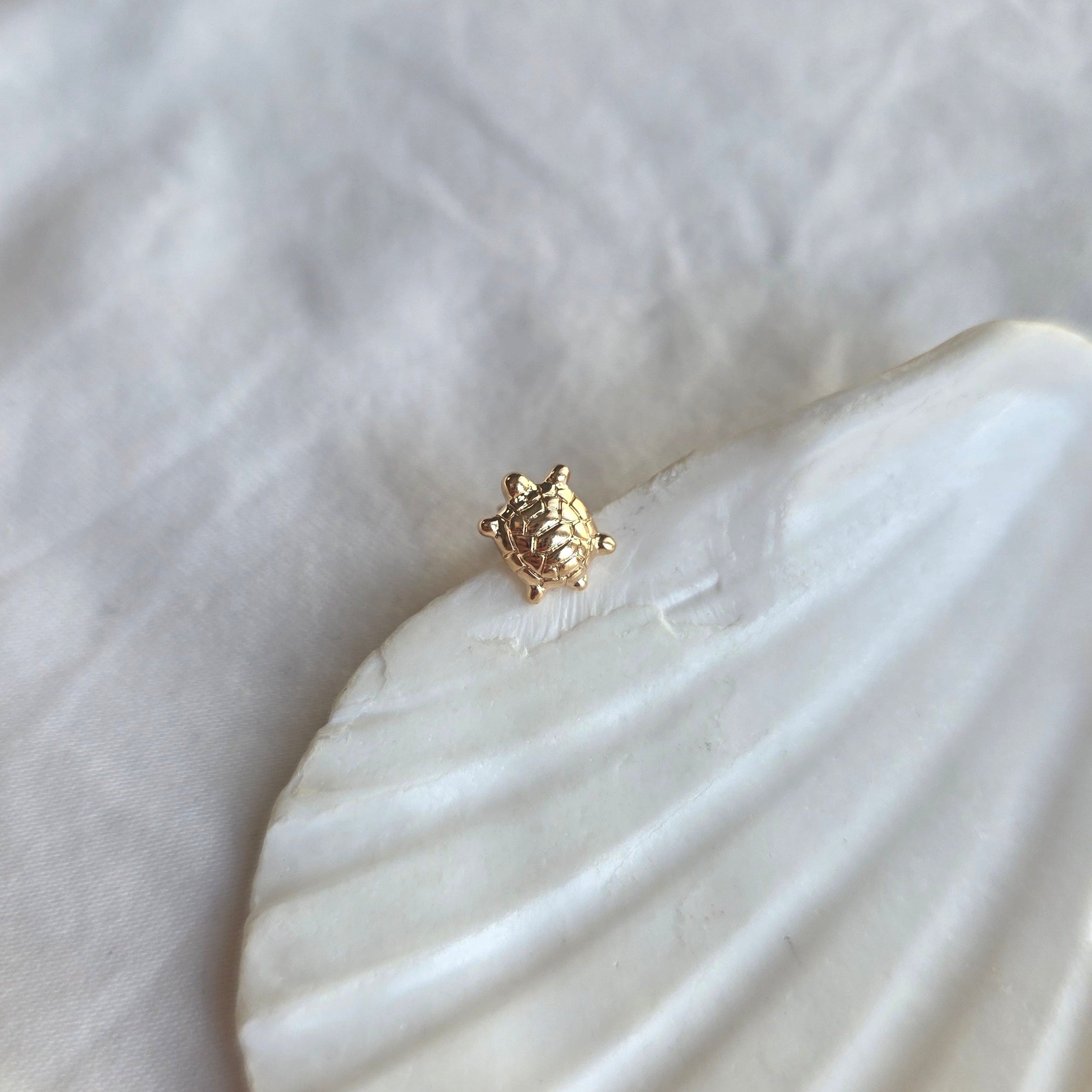 Oreille composée avec la puce tortue Taloula et d'autres bijoux dorés Klaklou