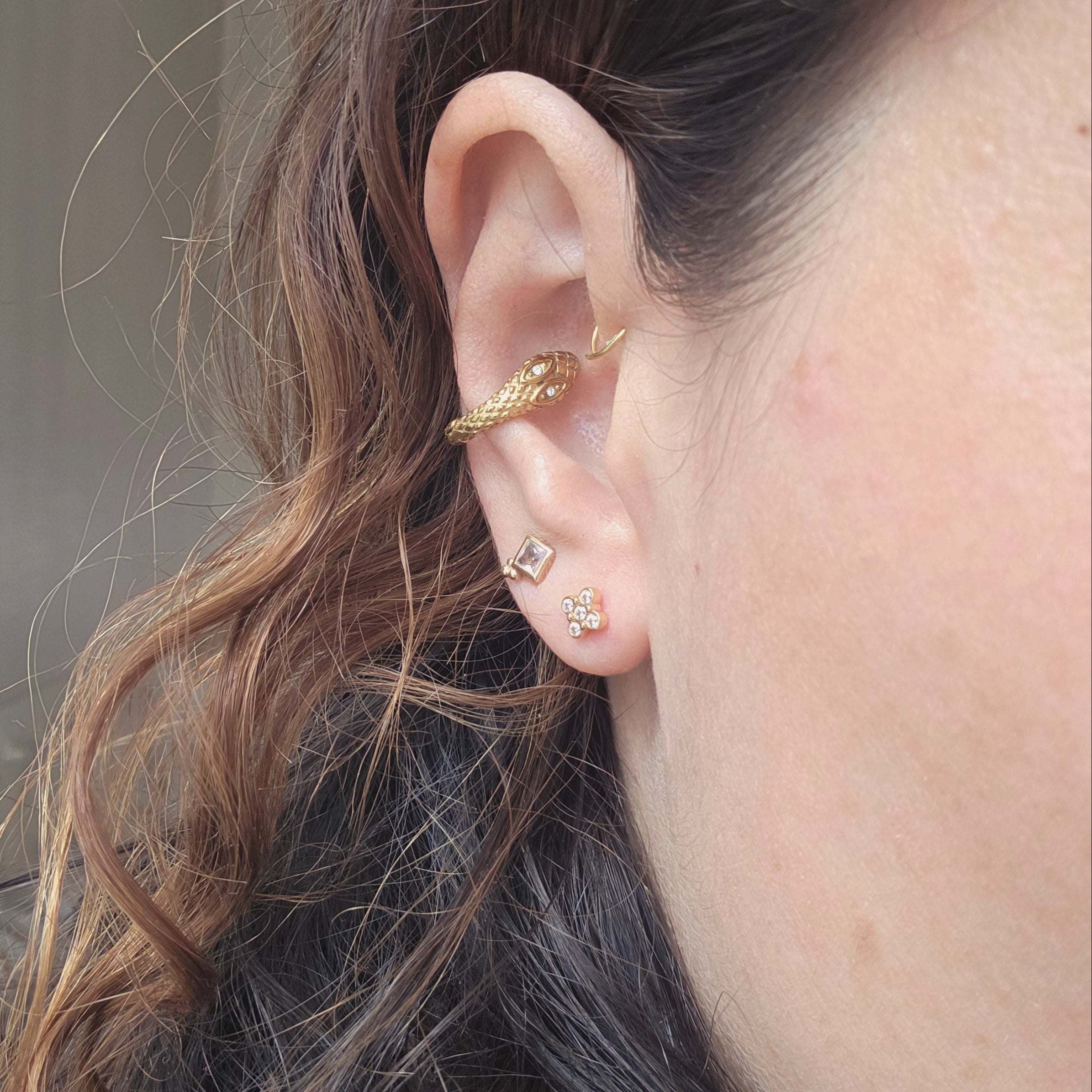 Vue rapprochée d’une puce d’oreille fine et élégante