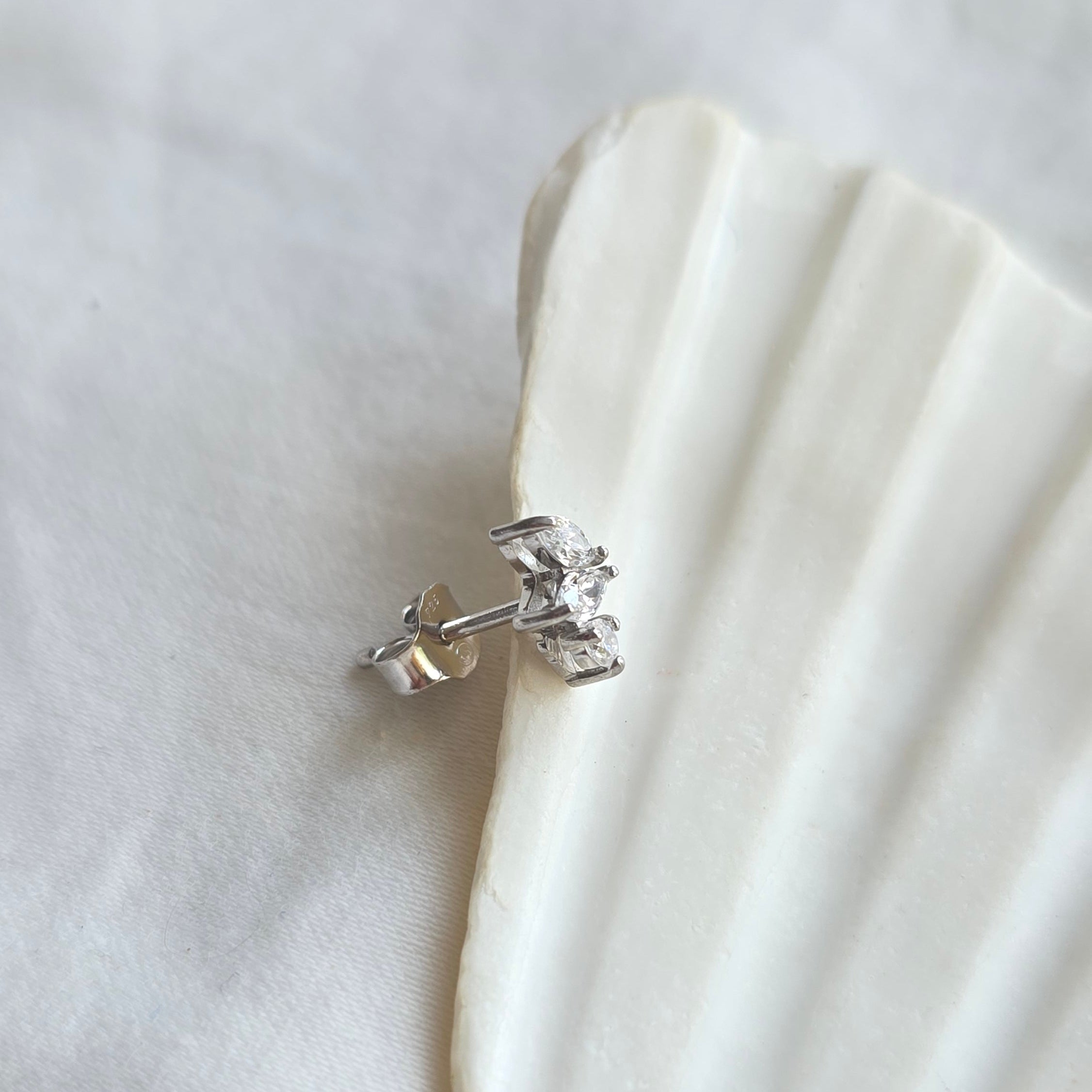Puce d'oreille Titus