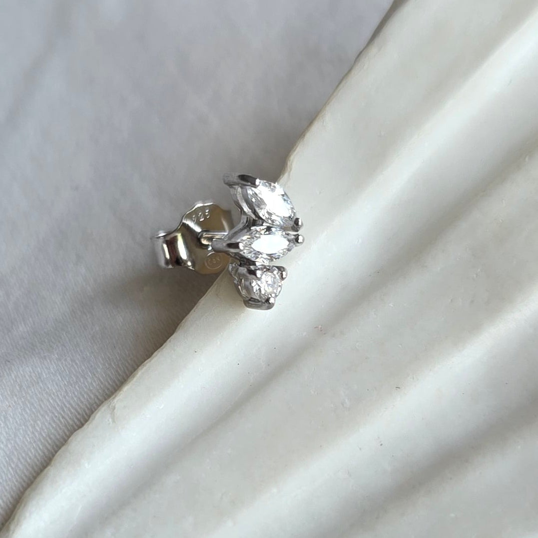 Puce d'oreille Titus